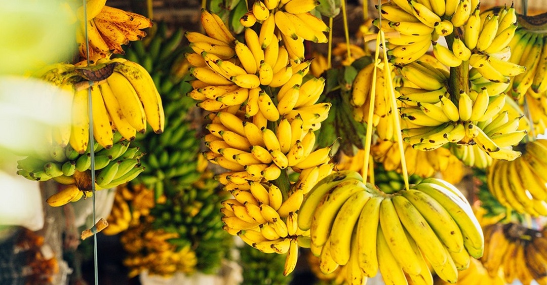 मूल्य आकाशियो : केराको हाहाकार