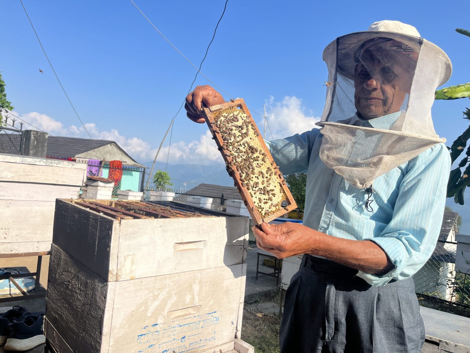 अनुसन्धान, प्रविधि र सहकार्यका लागि अन्तर्राष्ट्रिय मौरी सम्मेलन