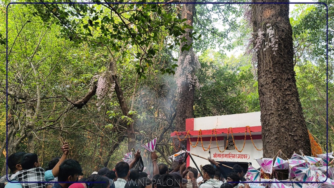 सलहेश फूलबारीमा सुनाखरीको चमक (तस्बिरहरु)