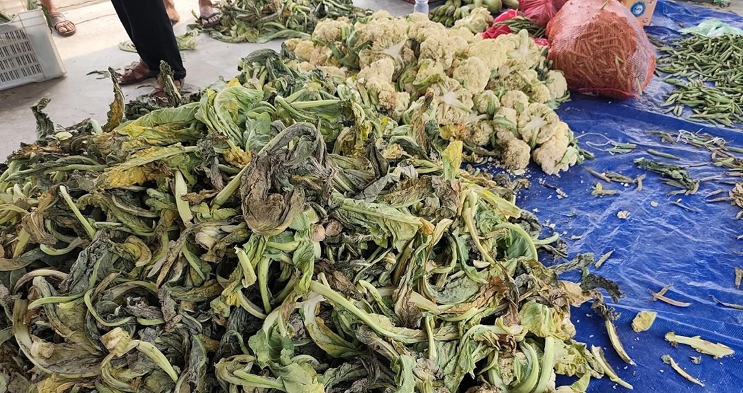 बिक्री नहुँदा तरकारी सड्यो, रुपन्देहीका किसान आक्रोशित