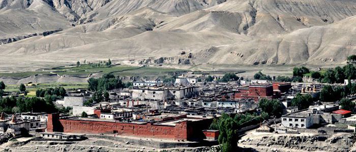 उपल्लो मुस्ताङमा वन्यजन्तु पीडितलाई राहत वितरण