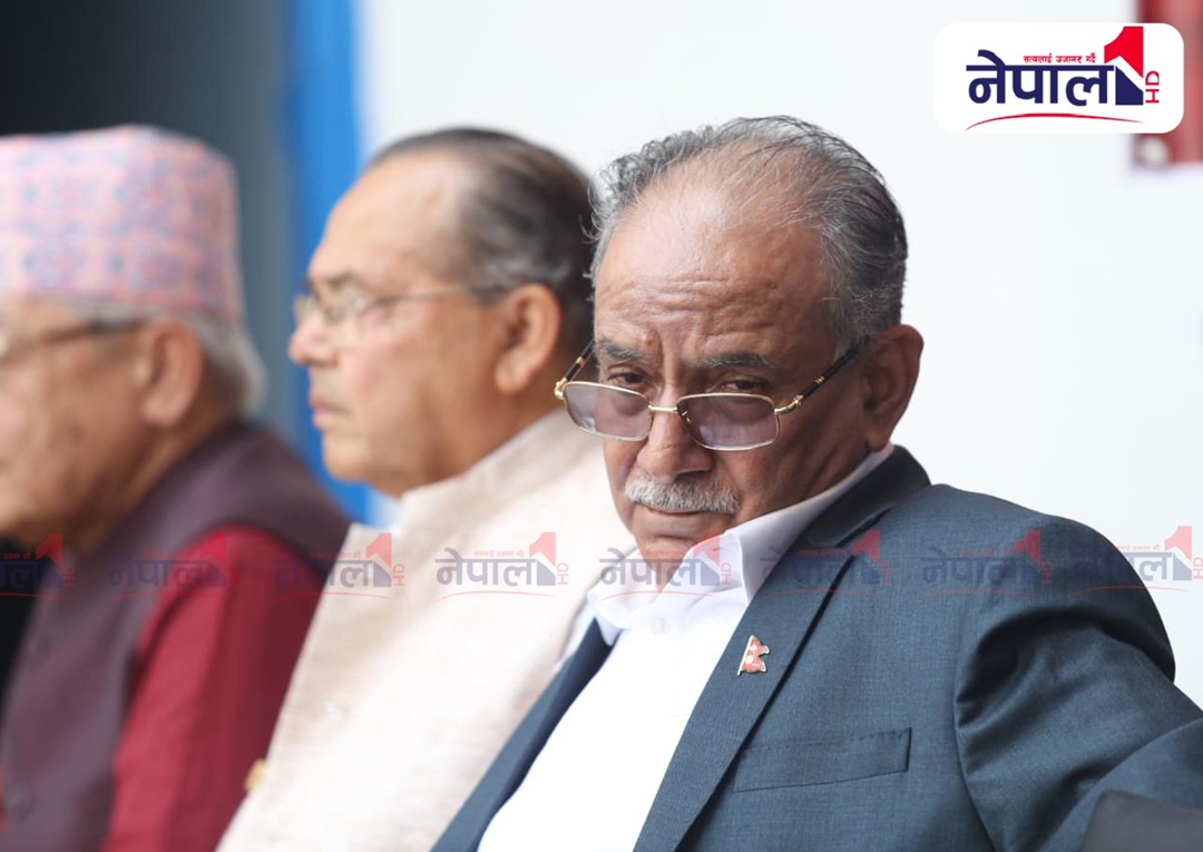 नेकपा र एमालेले यसरी मनाए पार्टी स्थापना दिवस (तस्बिरहरु)