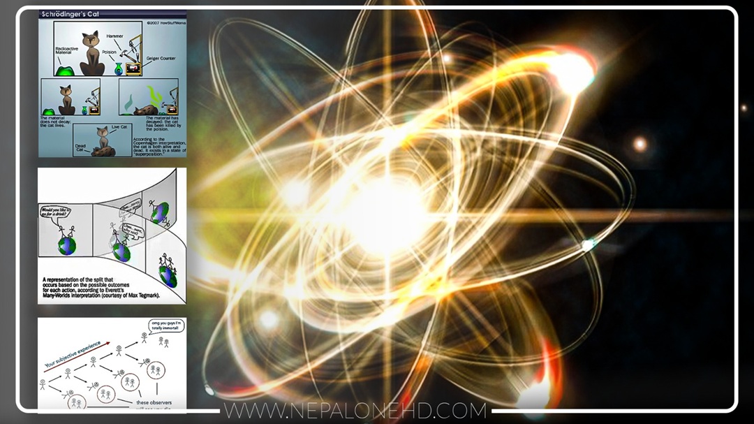 ‘क्वान्टम आत्महत्या’ के हो ?