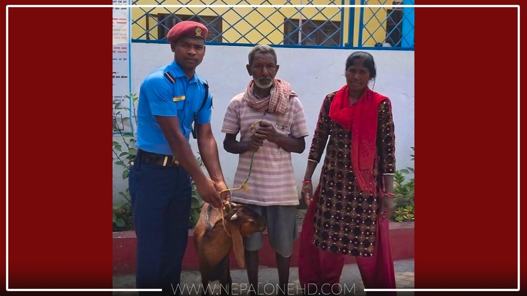 चोरी भएको बोका फिर्ता