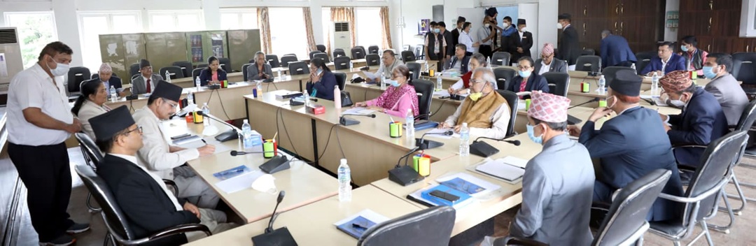 रास्वपाका यी ११ सांसद बन्नेछन् संसदीय समितिका सभापति(सूचीसहित)