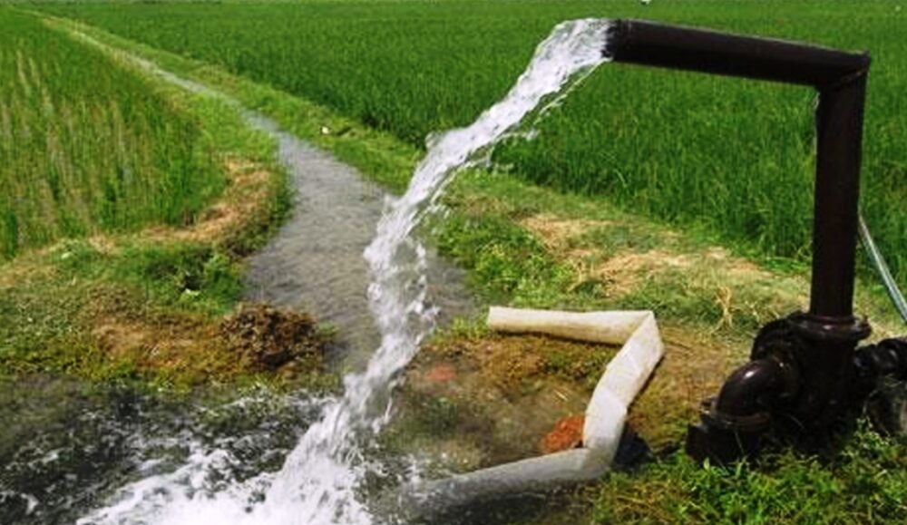 सिँचाइ सुविधा विस्तारले व्यावसायिक खेतीमा संलग्न किसान लाभान्वित