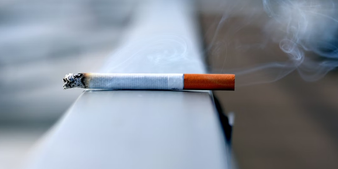 चुरोट किन्न नपाउने कानून पारित