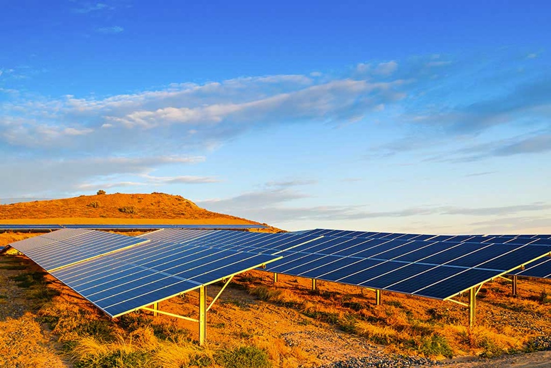 झापामा ‘पेलेट ऊर्जा’ उत्पादन सुरु