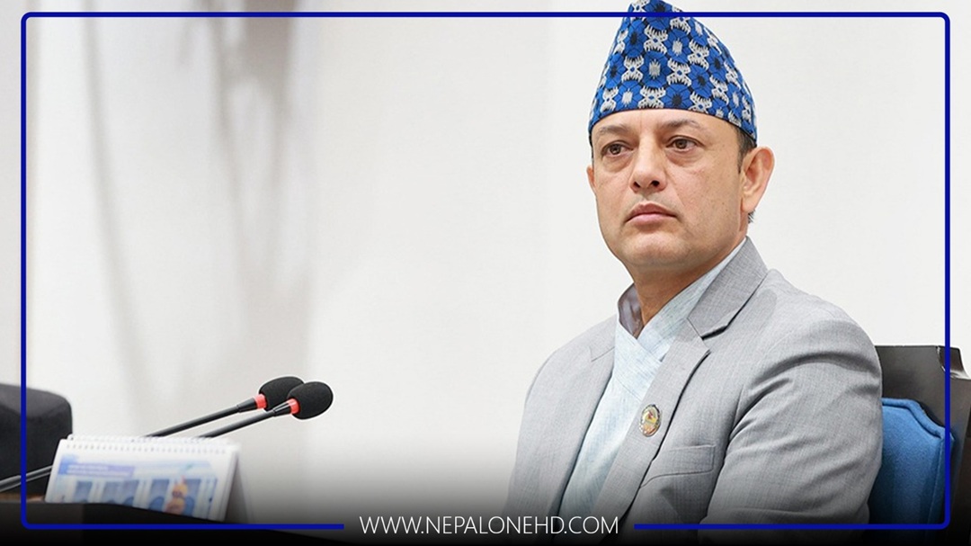 निरिह बन्दै सभामुख, हाबी हुँदै कार्यपालिका