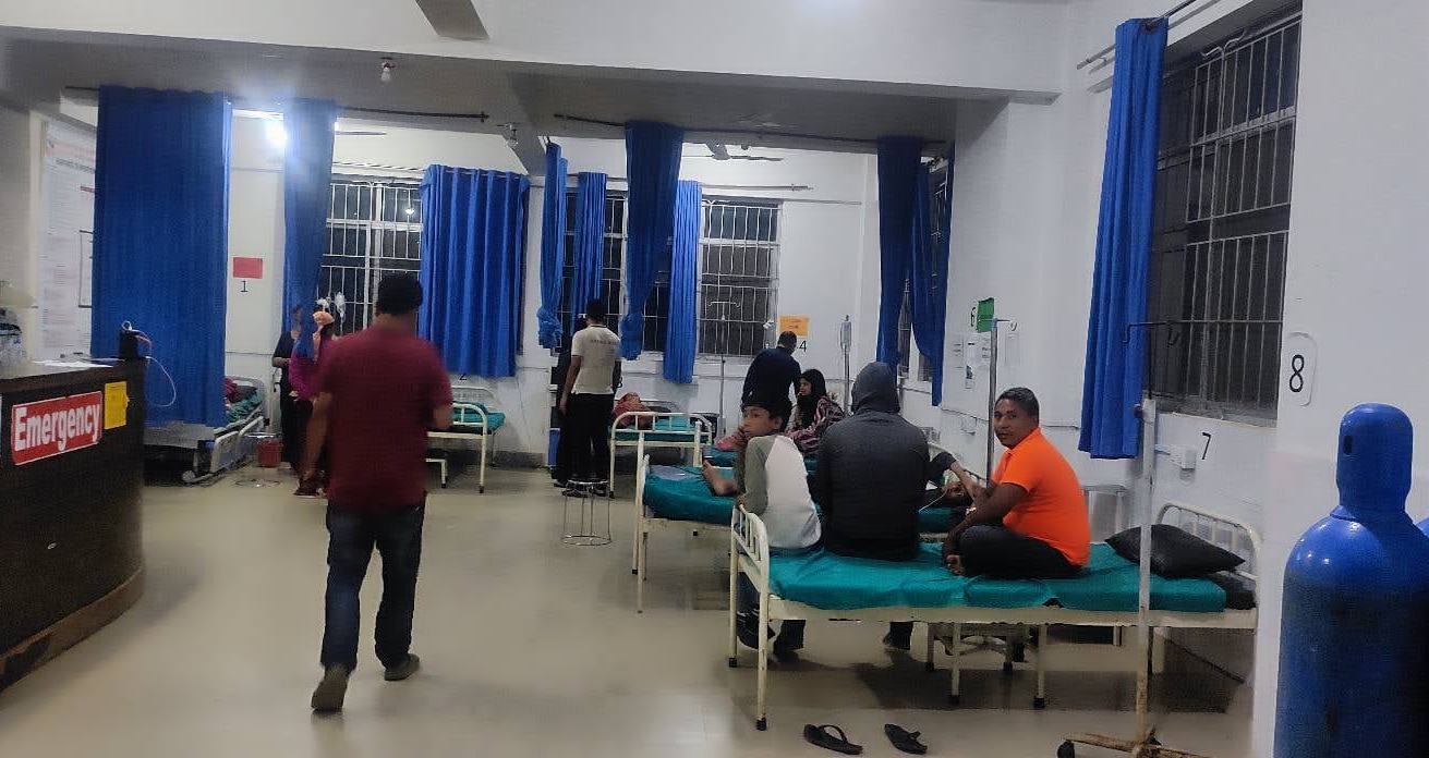 बागलुङमा जङ्गली भ्याकुर सेवन गर्दा एकको मृत्यु, आठ बिरामी