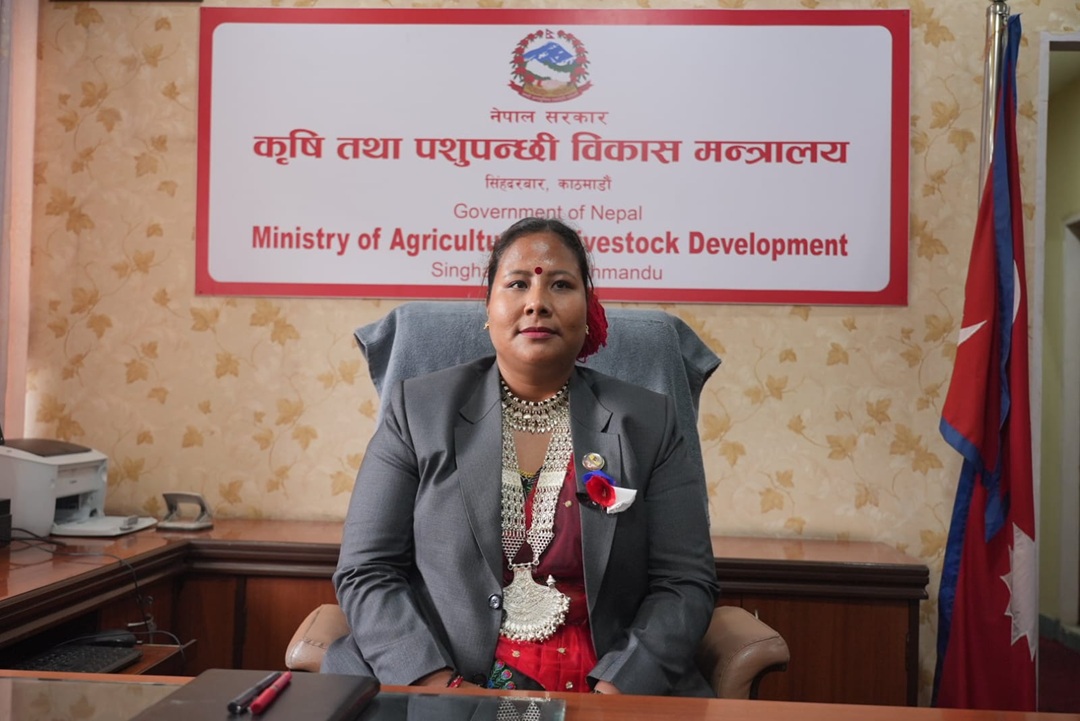 डीडीसीमा ‘कर्मचारीलाई निःशुल्क दूध-घिउ’ सुविधा बन्द, ७८ लाख रुपैयाँ बचत हुने दाबी