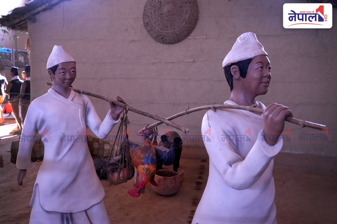 थारु संस्कृतिको जीवित संग्रहालय (तस्वीरहरु)