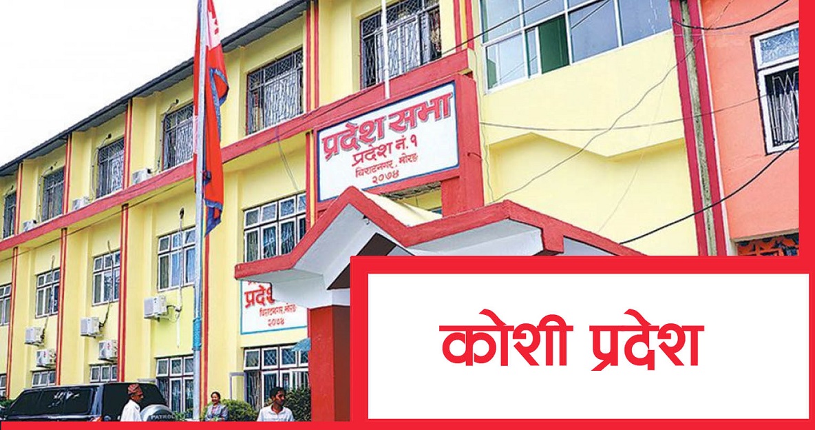 कोशी प्रदेशसभाको नीति तथा कार्यक्रम सर्वसम्मतिले पारित