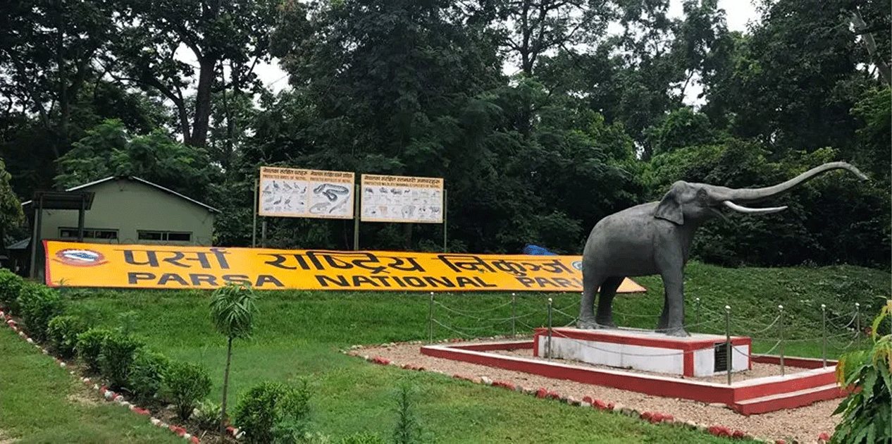 पर्सा राष्ट्रिय निकुञ्जमा ‘वाइडलाइफ रेस्क्यु टिम’ तयार