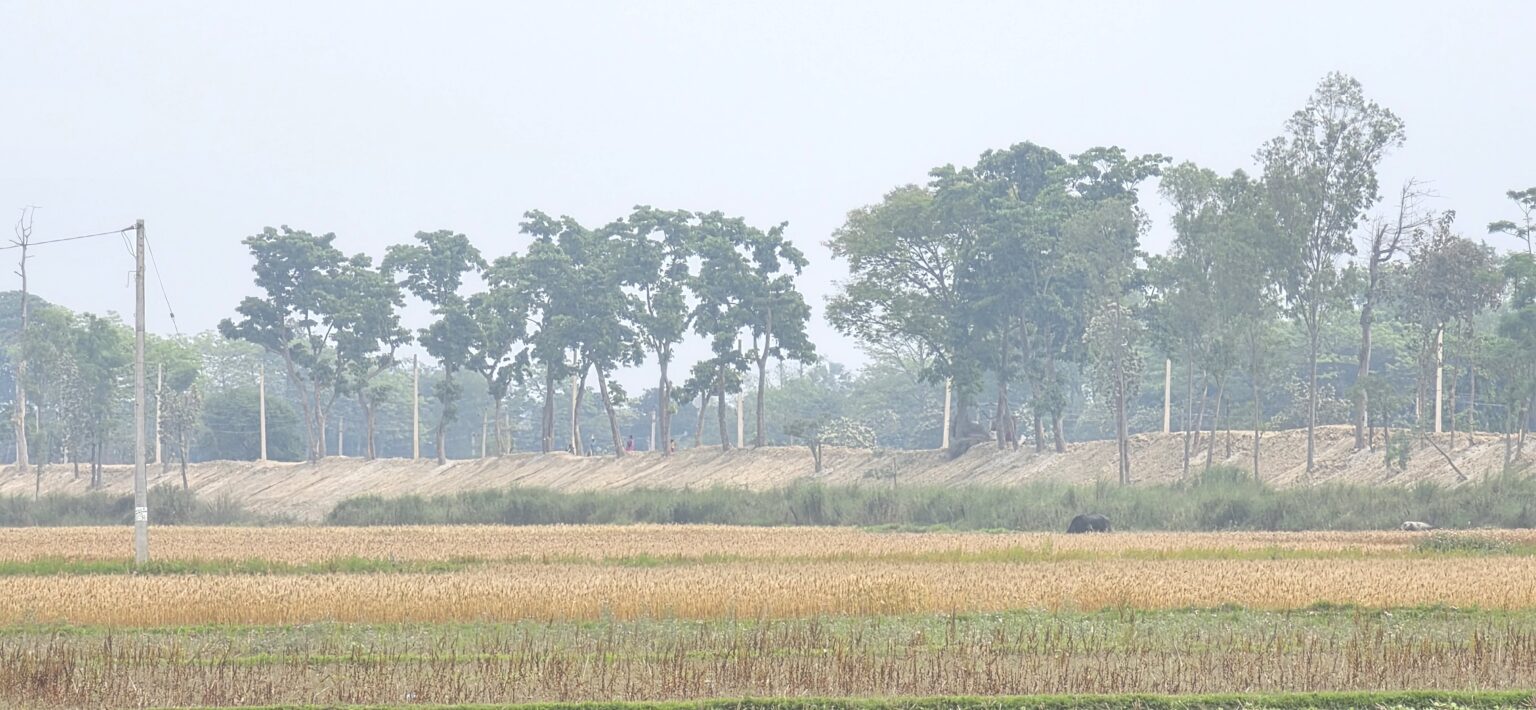 सीमा क्षेत्रको बाँध अग्लो बनाउँदा, गौर डुबानको जोखिममा