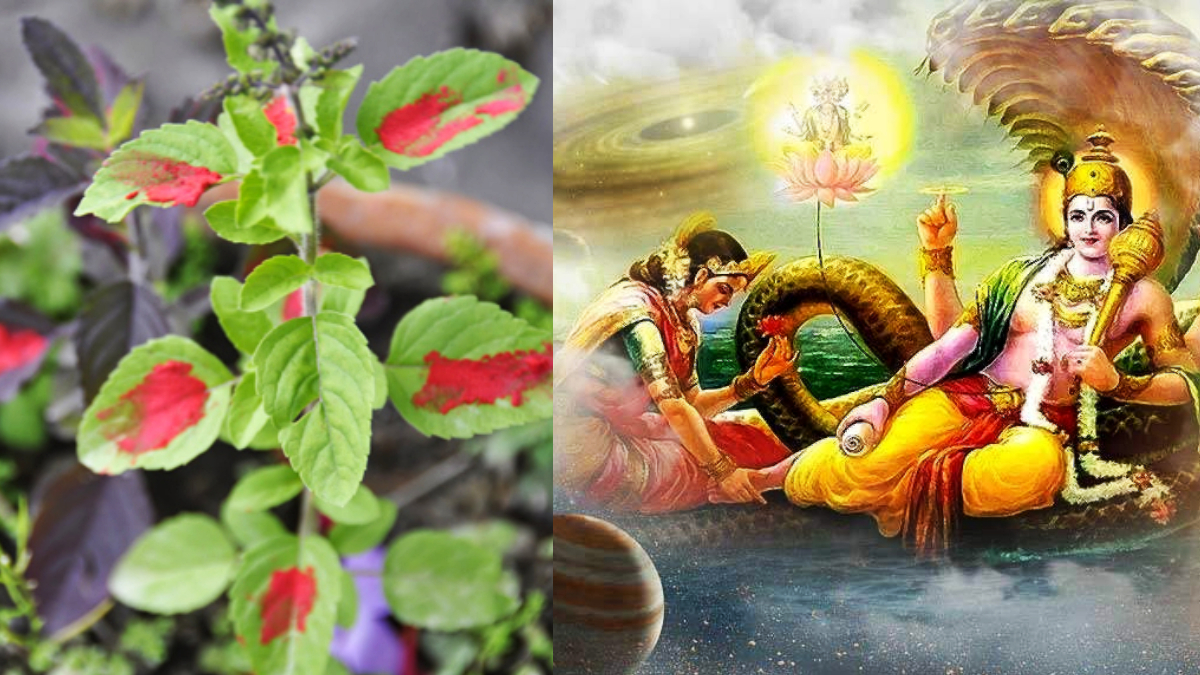 आज निर्जला एकादशी, तुलसीको दल राख्ने दिन