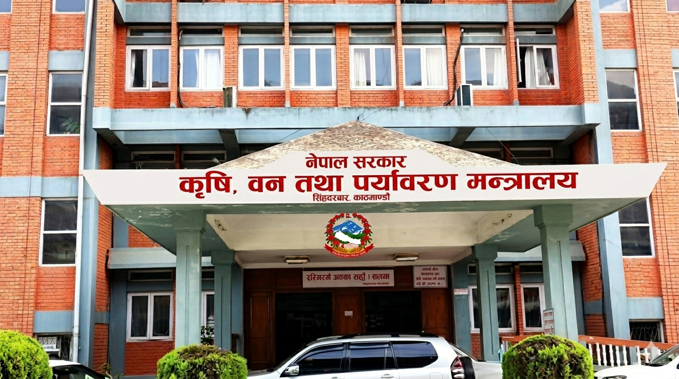 रैथाने बाली संरक्षणका लागि सरकारद्वारा करिब ३ करोड रुपैयाँ अनुदान
