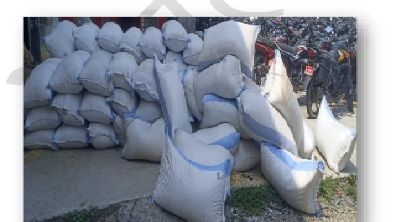 नेपालबाट भारततर्फ अबैध रुपमा निकासी गर्न लागेको १९ लाख बढीको फर्सीको बीउ बरामद