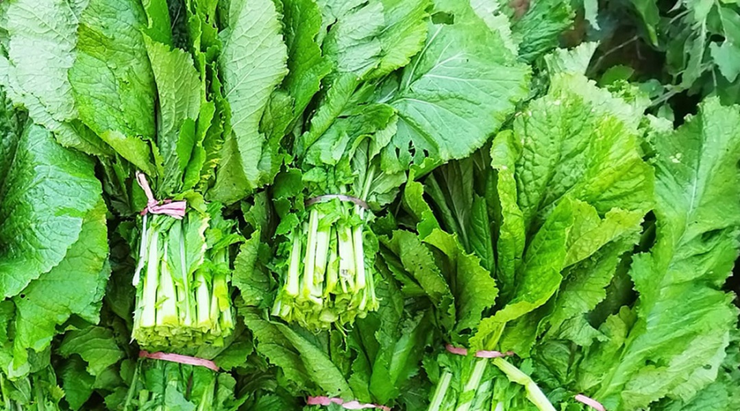 कालिमाटी तरकारी बजारमा रायोको सागमा अत्यधिक विषादी भेटिएपछि…