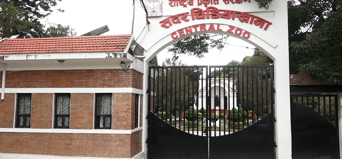 सदर चिडियाखानामा बर्डफ्लु नियन्त्रणमा