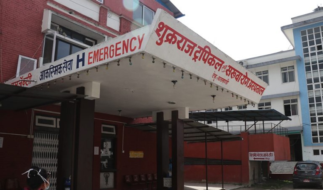 रेबिज खोप अभावले टेकु अस्पतालमा बढ्यो बिरामीको चाप