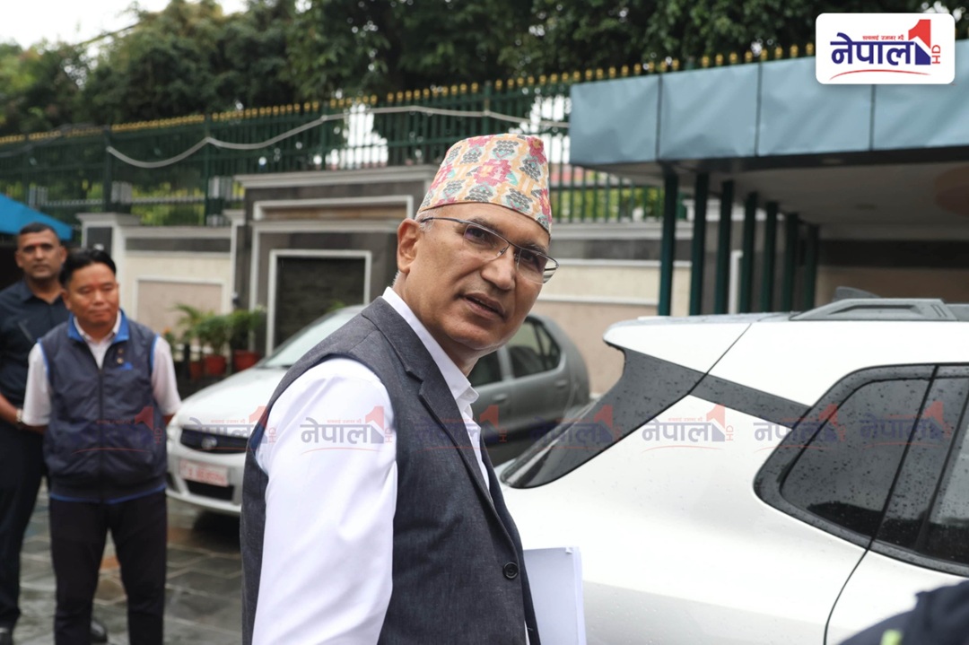 विष्णु पौडेल किन रिहा भए?
