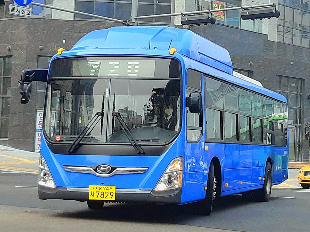 साउन १ बाट काठमाडौंमा ब्लु बस