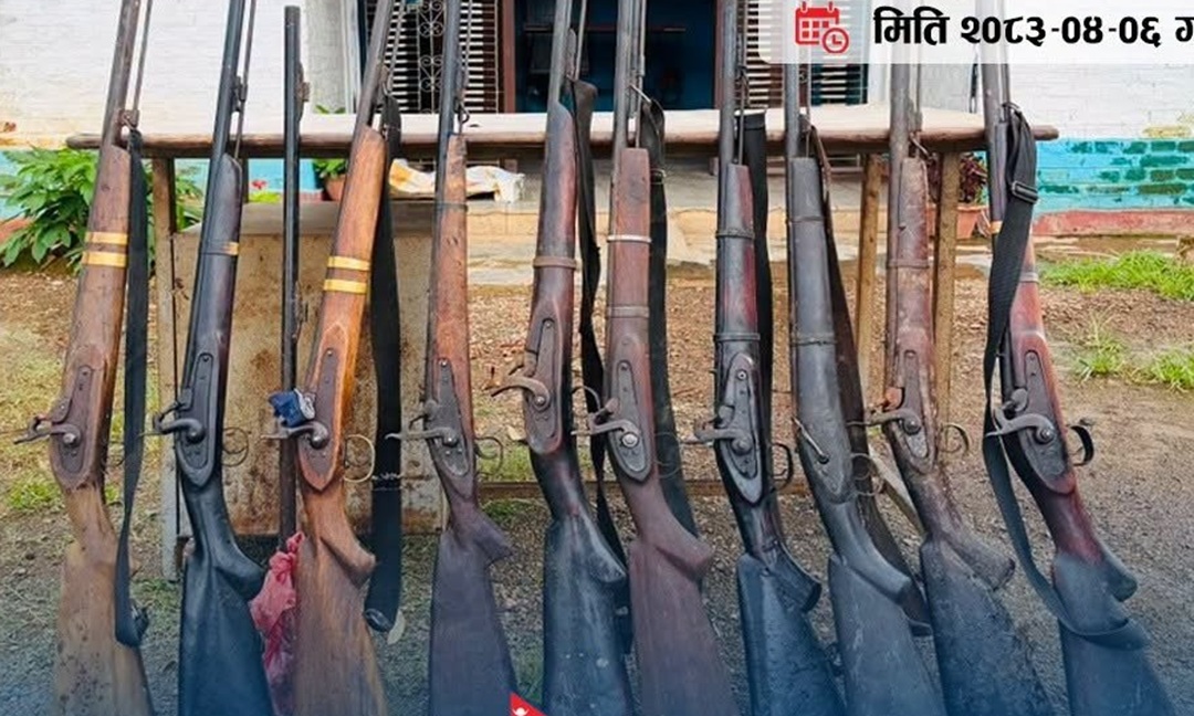 दाङको जंगलबाट ११ नाल भरुवा बन्दुक बरामद
