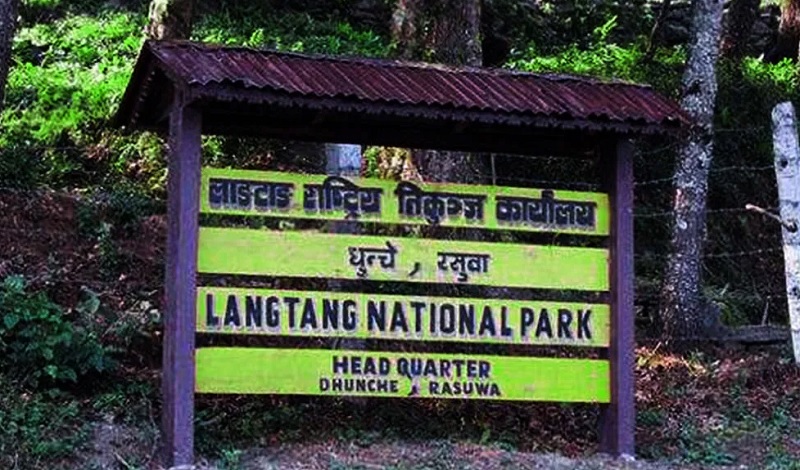 लाङ्टाङ राष्ट्रिय निकुञ्जमा पर्यटक आगमन र राजस्व दुवै घट्यो