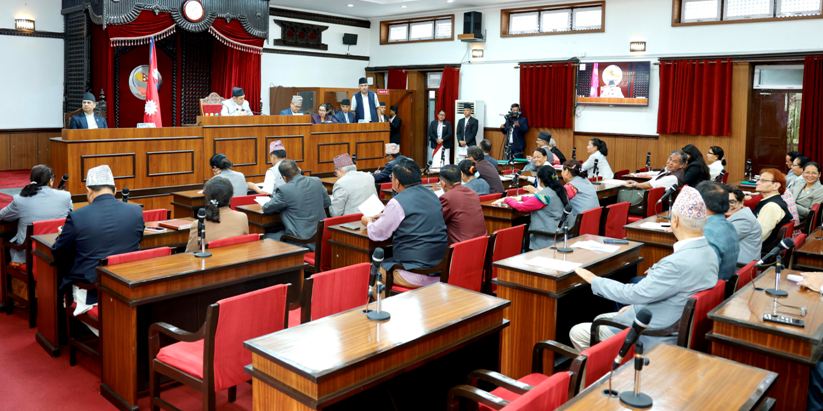 राष्ट्रियसभाः विनियोजन विधेयकमा मन्त्रालयगत शीर्षकमाथि छलफल