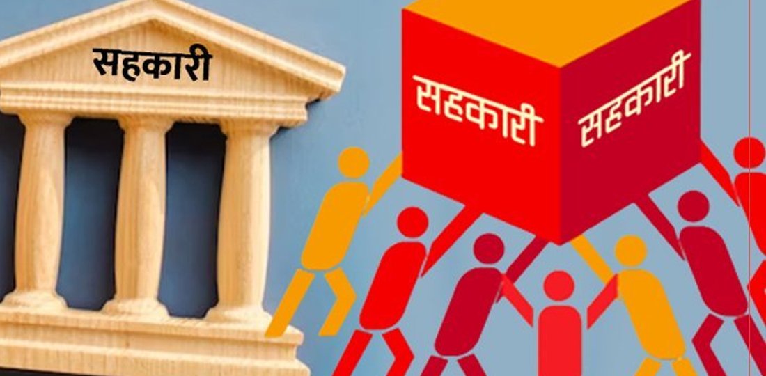 सहकारीमार्फत कोदो र फापरको पिठो ब्राण्डिङ, बजारमा बिक्री सुरु