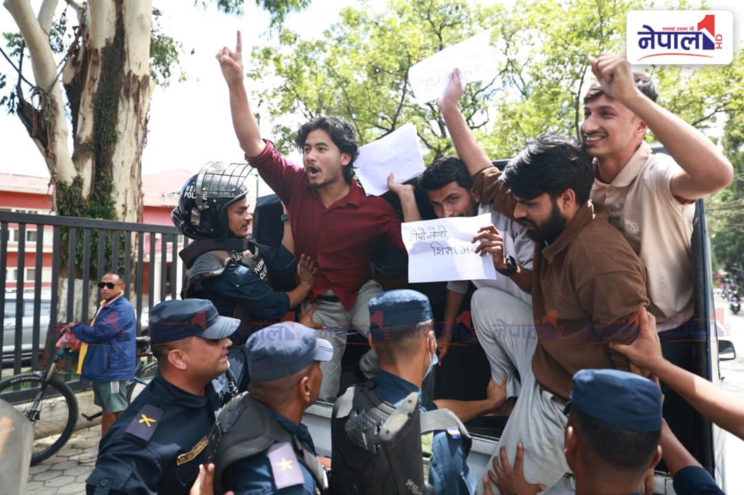 ‘नेपो बेबी मुर्दावाद’ भन्दै शिक्षामन्त्री पोखरेलविरुद्द प्रदर्शन गर्ने ५ जना पक्राउ