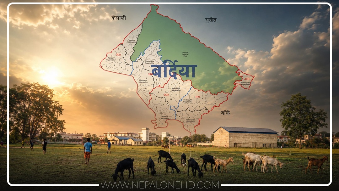 खेलाडीको मैदानमा पशु चौपाया चर्छन्