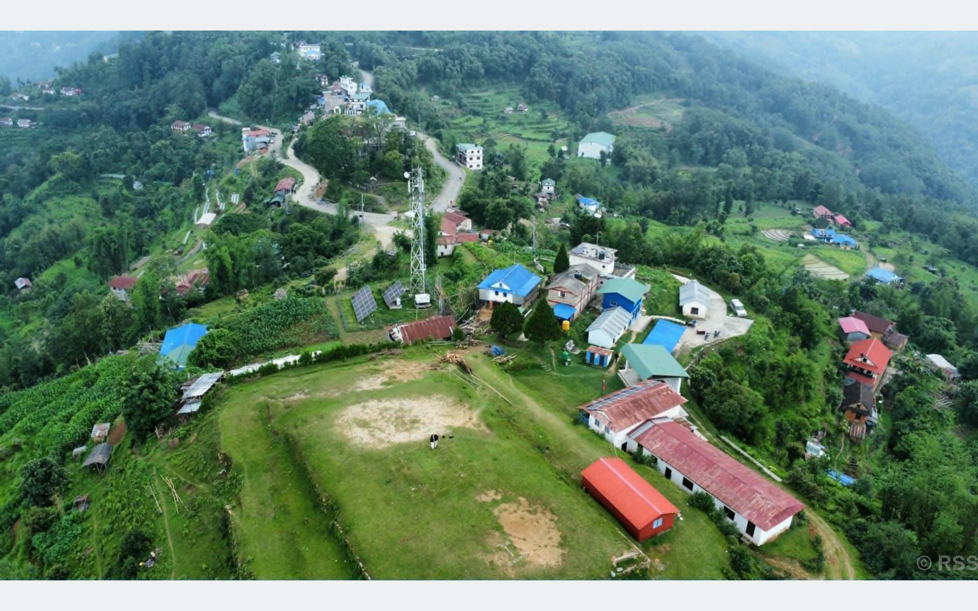टेम्केमैयुङ गाउँपालिकामा रायो र मूलाखेती प्रवर्द्धन, ५००-५०० टन खरिदको पूर्वसम्झौता