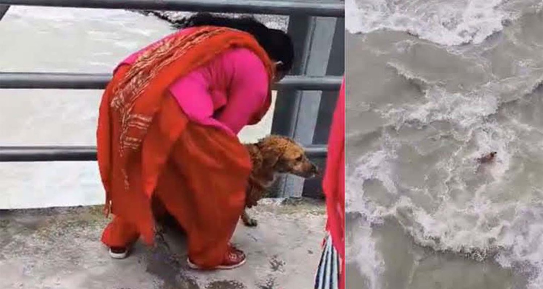 कुकुरलाई सेती नदीमा फाल्ने महिला पक्राउ
