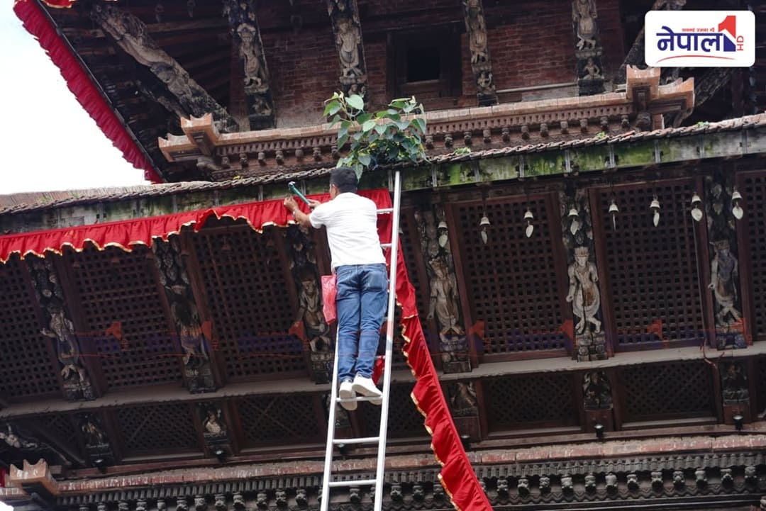 इन्द्रजात्राका लागि रंगाइदै वसन्तपुर [तस्बिरहरु]