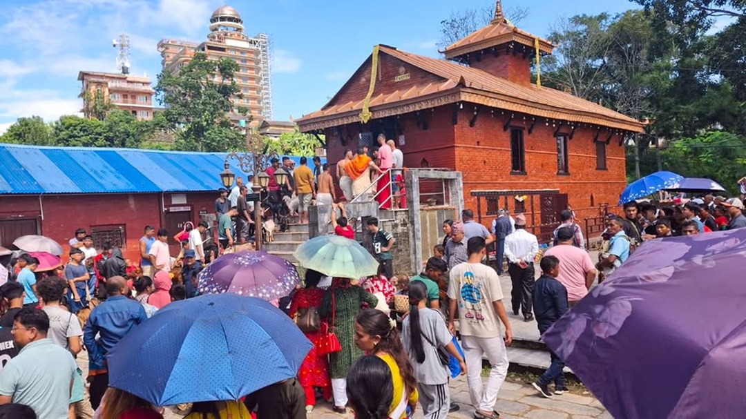 बन्दीपुरको खड्गदेवी मन्दिरमा फूलपातीको घुइँचो, हजारौँ भक्तजनको सहभागिता