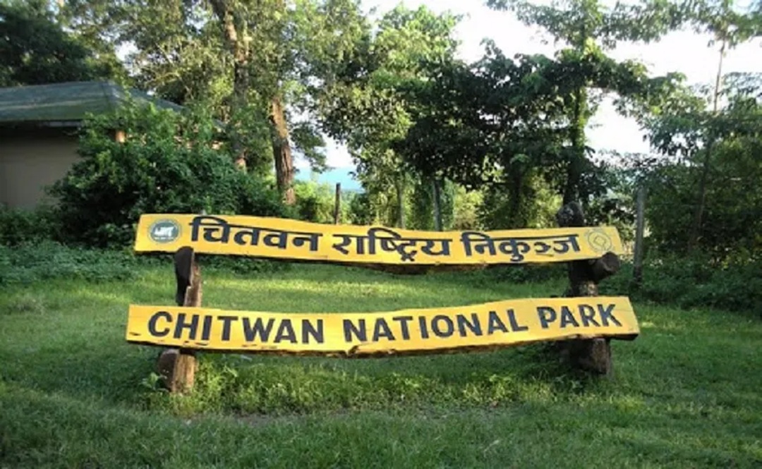 चाडपर्वमा चितवन निकुञ्जको सुरक्षा कडा, १२०० भन्दा बढी जनशक्ति परिचालन