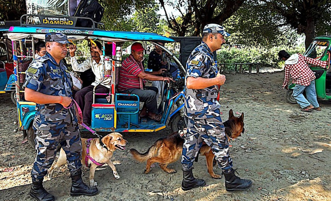 सीमामा कुकुर परिचालन, तस्करमाथि सशस्त्र प्रहरीको निगरानी कडा