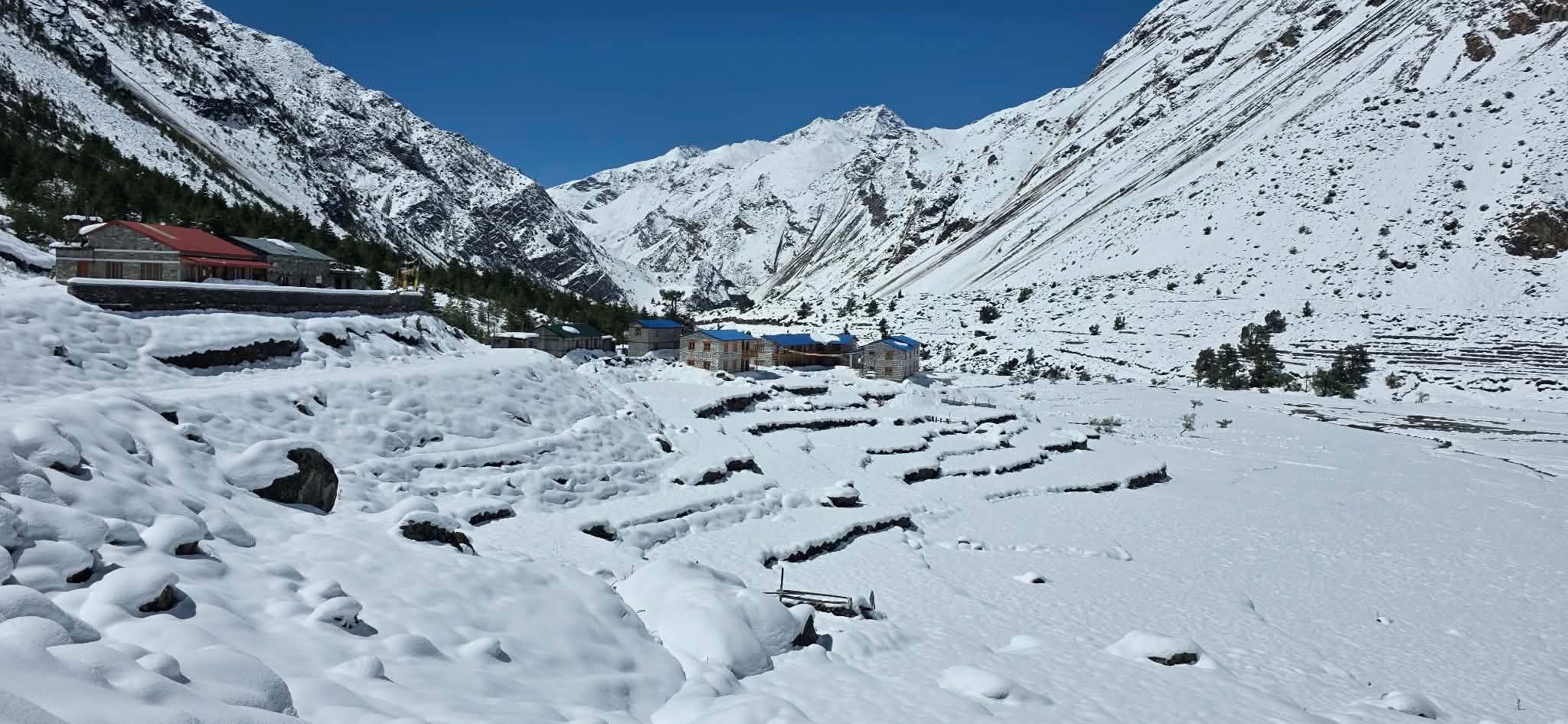 हिमपातले लिमीको जनजीवन प्रभावित, सडकमा साढे तीन फिट हिउँ, तत्काल पन्छाउन माग